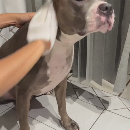 PawFresh™ Limpieza Fácil para Mascotas